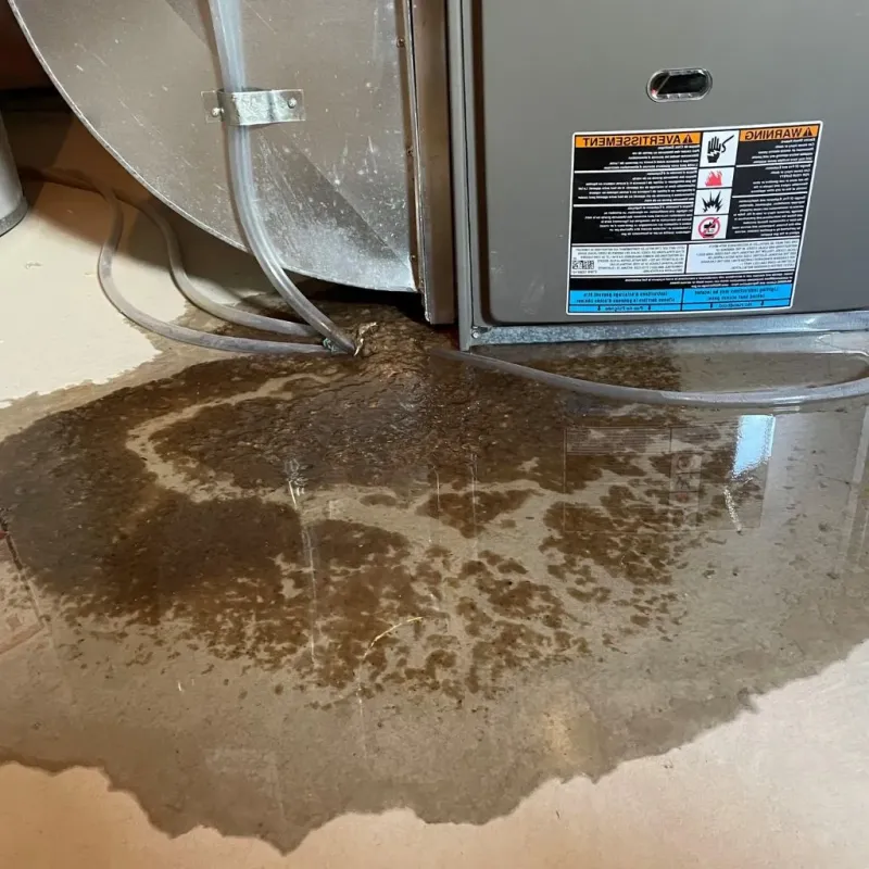 Pipe Burst and Leak Restoration in Nyack, NY